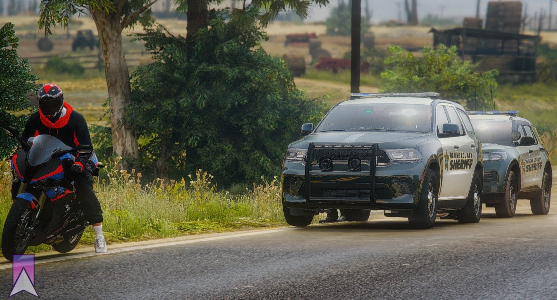Traffic Stop #3
