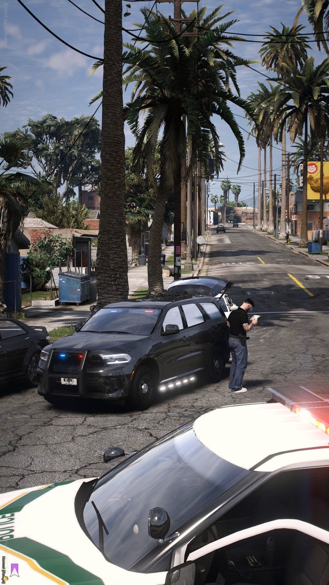 POLICE