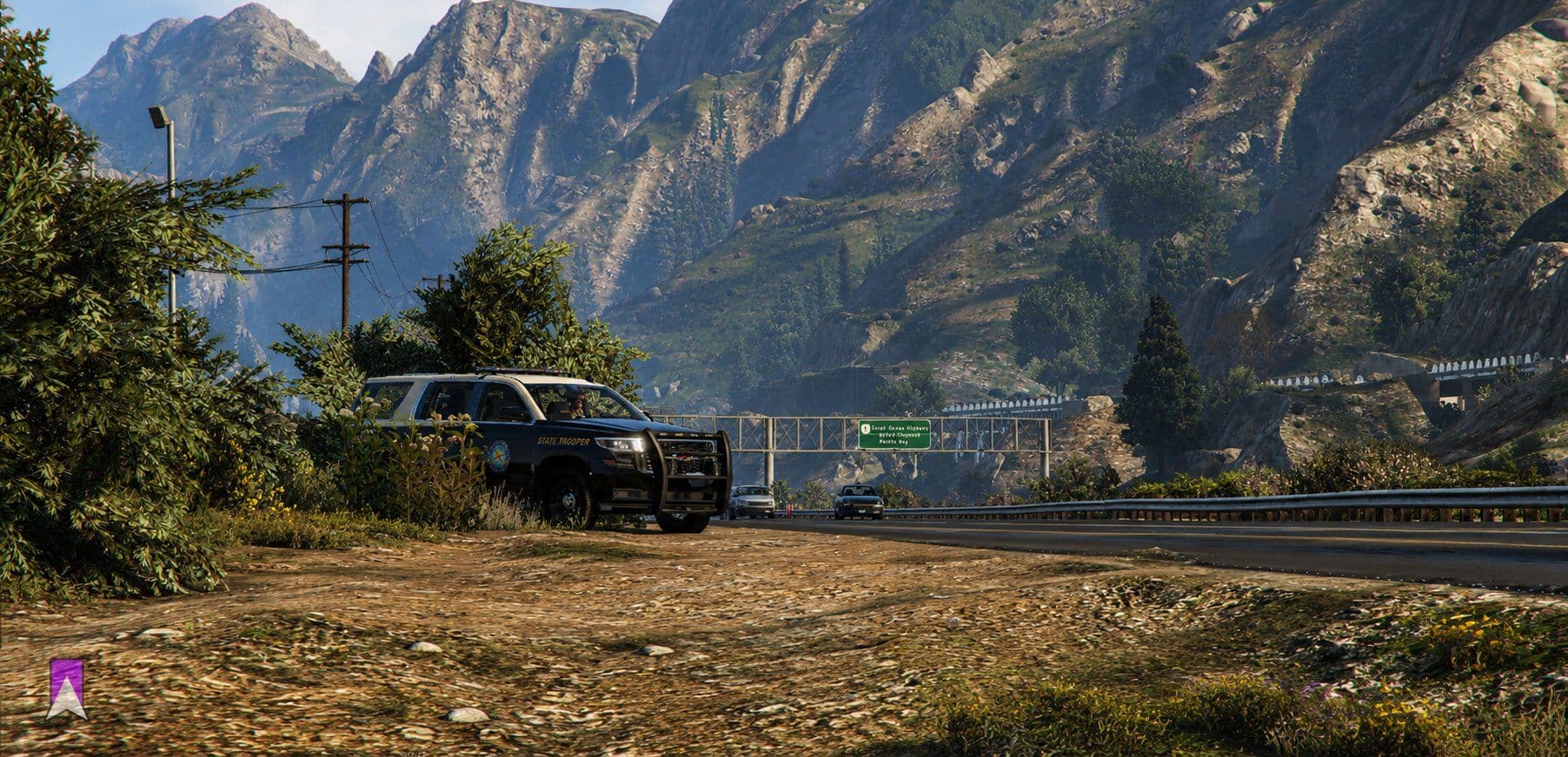 police