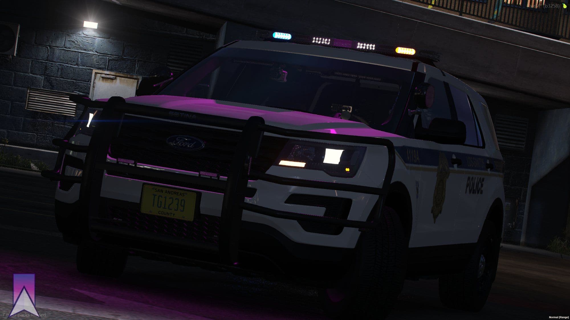 Police Interceptior